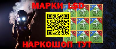индика Рыбинск