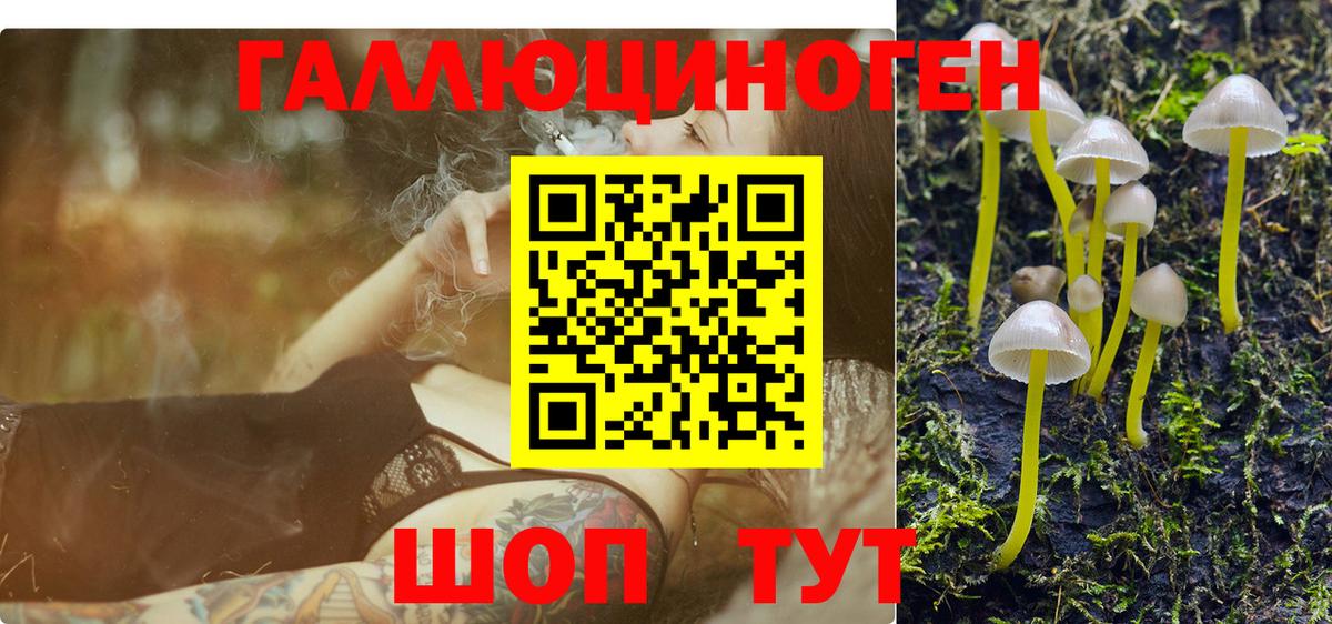 Галлюциногенные грибы GOLDEN TEACHER  Вход с VPN  Павлово 